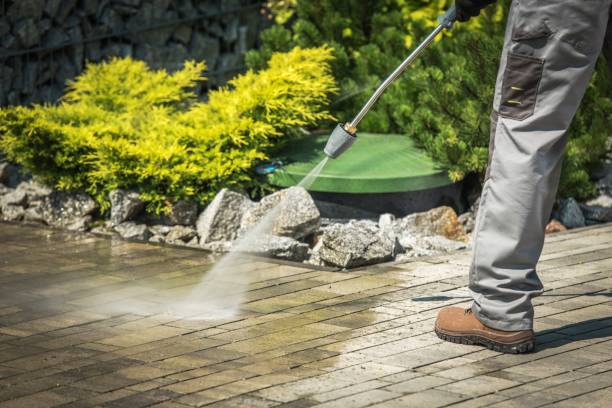 Best Driveway Pressure Washing  in La Vale, MD