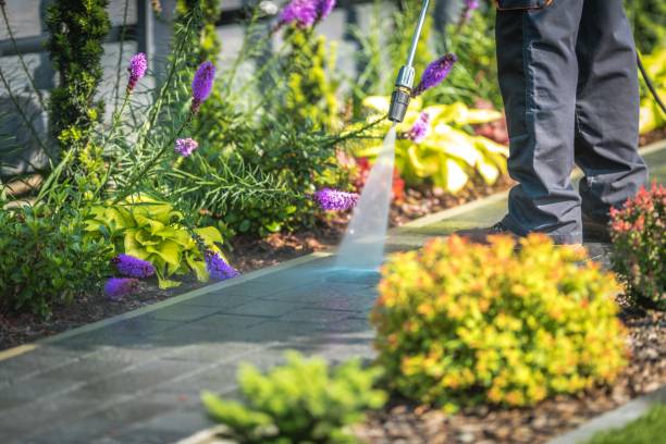 Best Patio and Deck Pressure Washing  in La Vale, MD